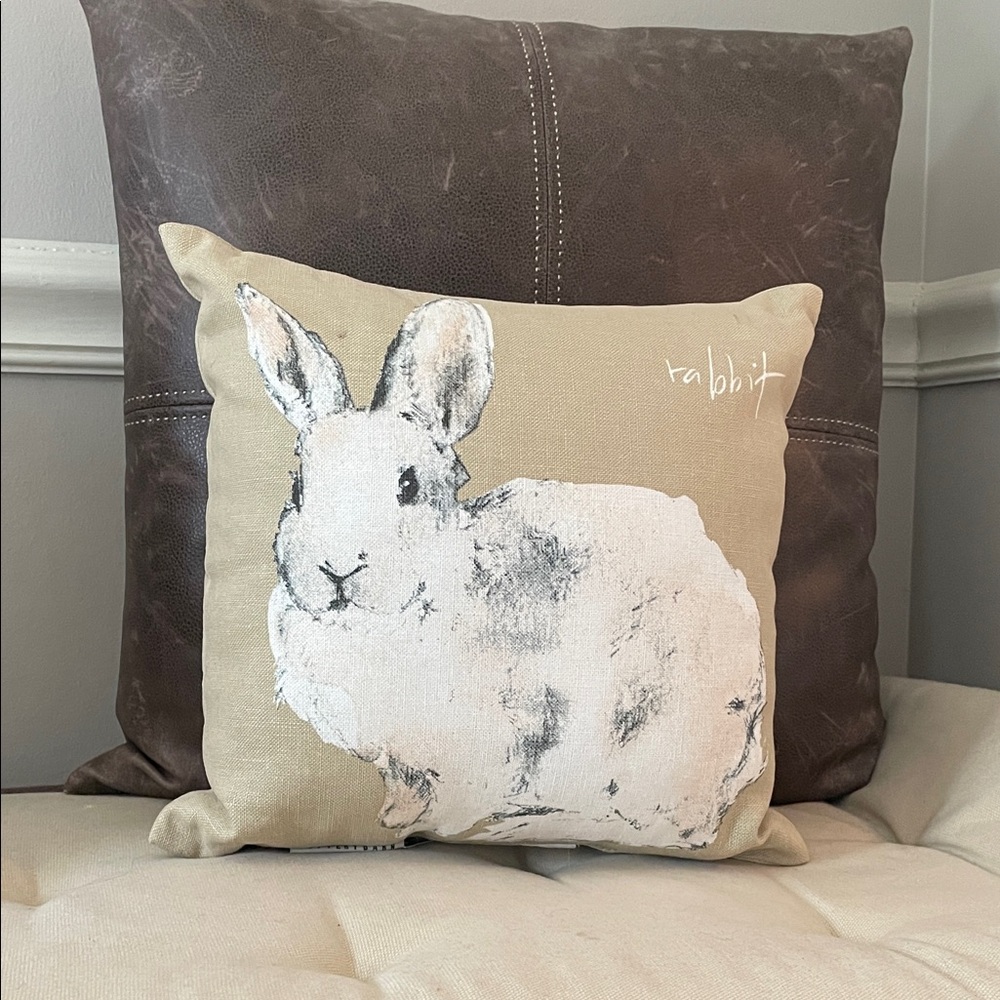 Pottery Barn Petite Accent Pillow